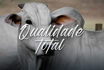 LEILÃO VIRTUAL QUALIDADE TOTAL